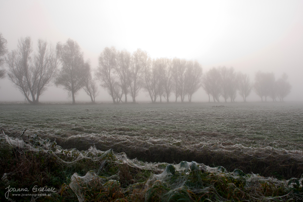 034_Biebrza - pazdziernik 2013.jpg